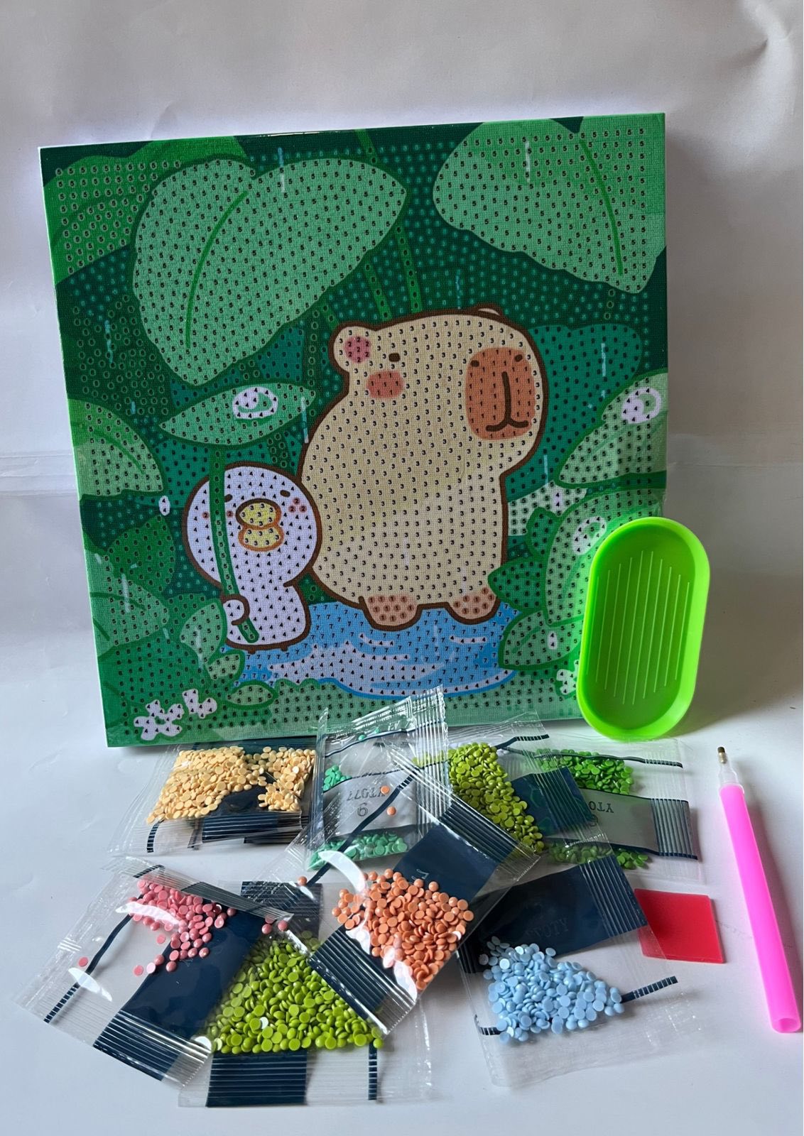 PUNTA DIAMANTE CAPIBARA